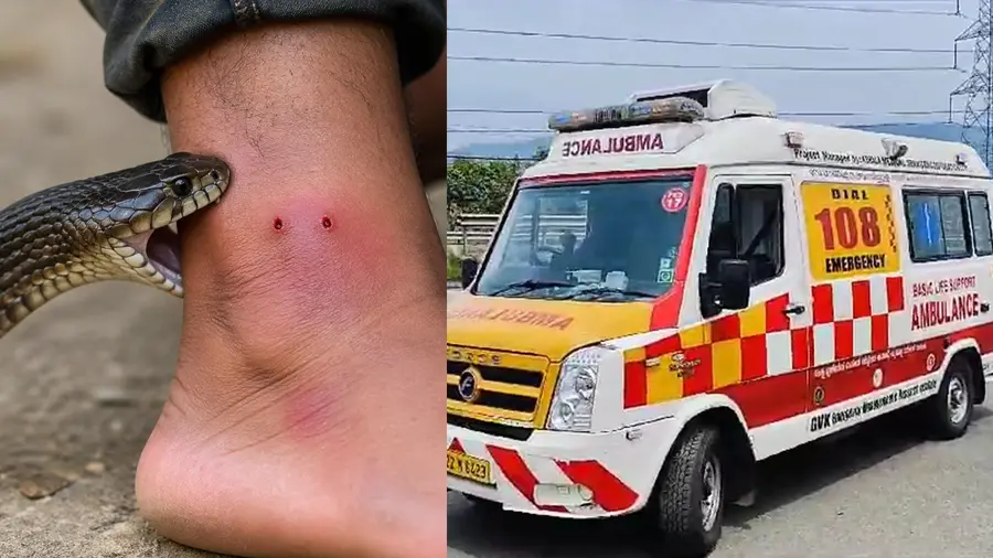 snake bite ambulance