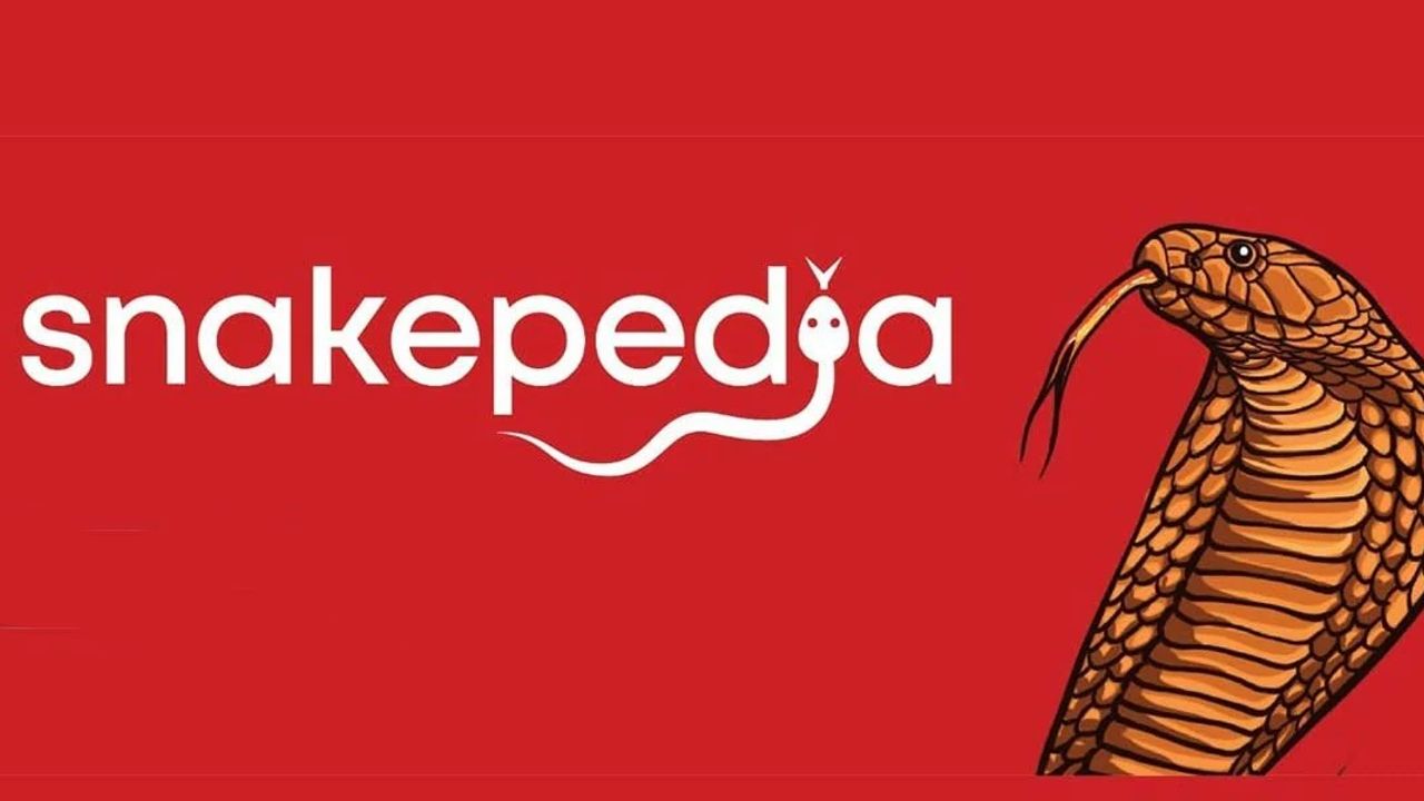 snake pedia