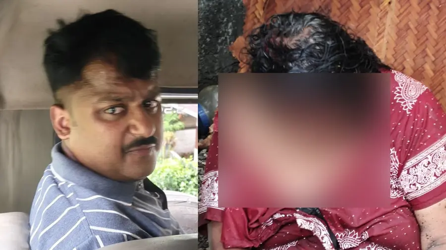son attacked mother