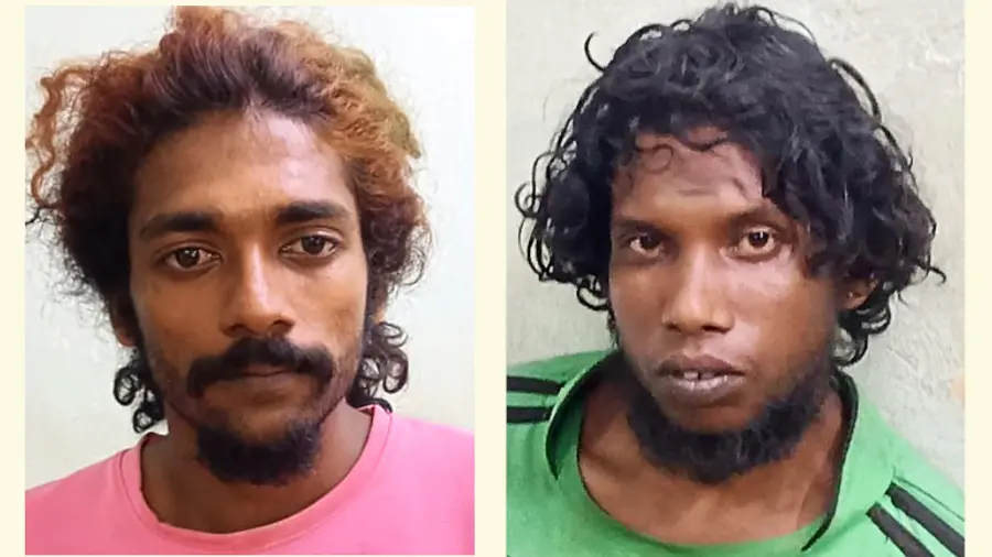 സൗരവ്, അജയ്