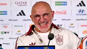 spain coach