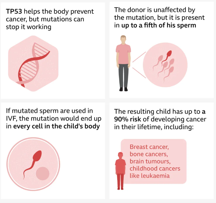 SPERM