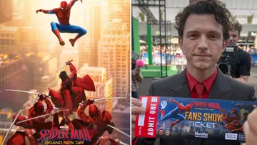 spiderman brand new day