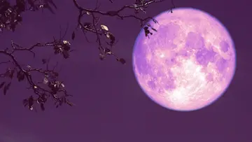 strawberry moon