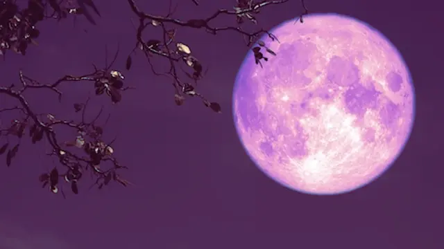 strawberry moon