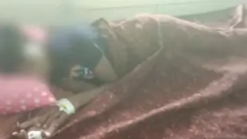stray dog attack nagarur
