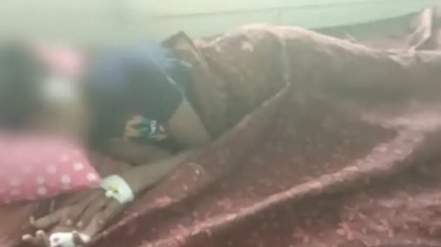 stray dog attack nagarur