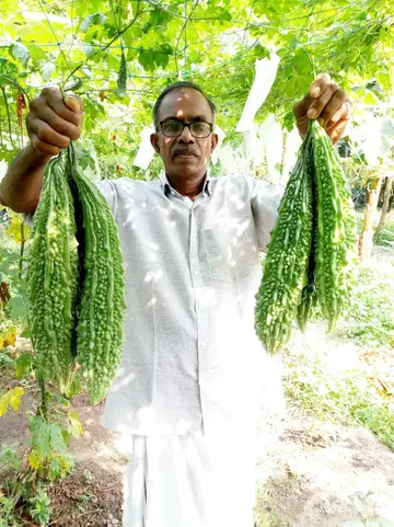 ആർ ഹേലി കാർഷിക സ്മൃതി പുരസ്കാരം