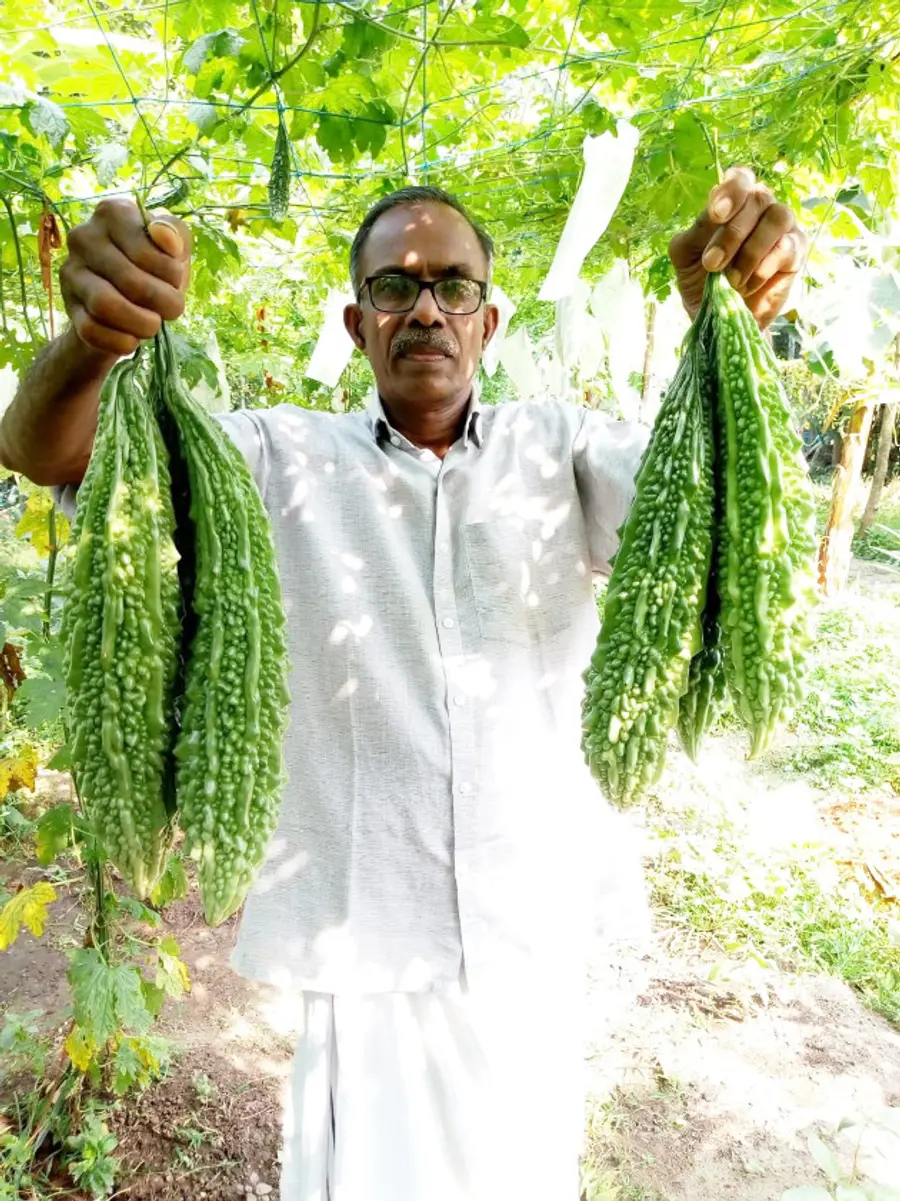 ആർ ഹേലി കാർഷിക സ്മൃതി പുരസ്‌കാരം
