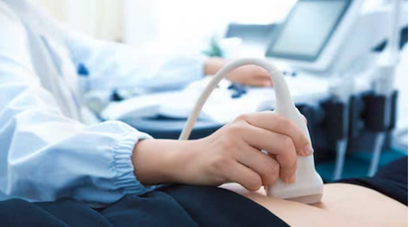 surrogacy 