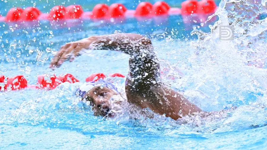 aquatics