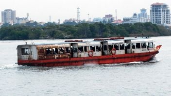SWTD BOATS