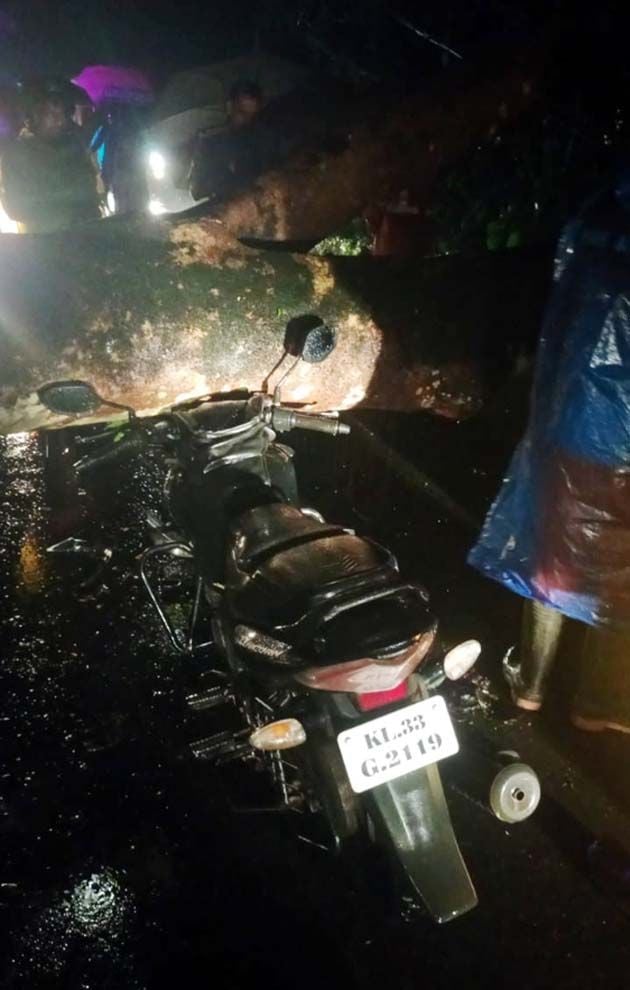 മുട്ടത്തിന് സമീപം മ്രാലയിൽ ബെെക്കിന് മുകളിൽ മരംവീണുണ്ടായ അപകടം