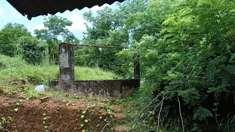 thamarassery well