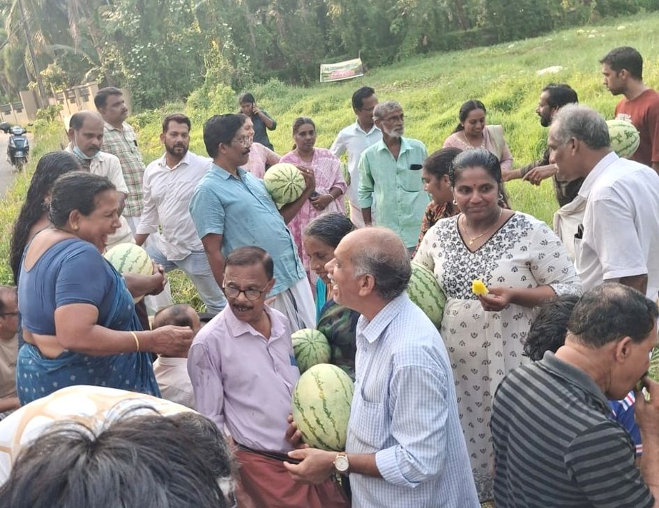 തണ്ണിമത്തൻ വിളവെടുപ്പില്‍ നിന്ന്  