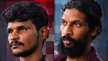 theft brothers