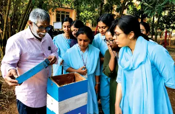 തേനീച്ചകളെ വീക്ഷിക്കുന്ന വിദ്യാര്ഥിനികള്