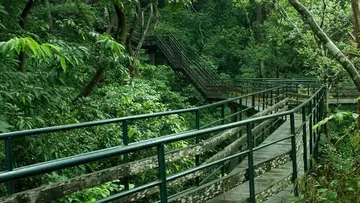 thenmala