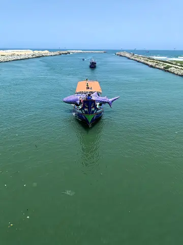 തിമിംഗലസ്രാവ് സംരക്ഷണ ക്യാമ്പയിനിൽനിന്ന്