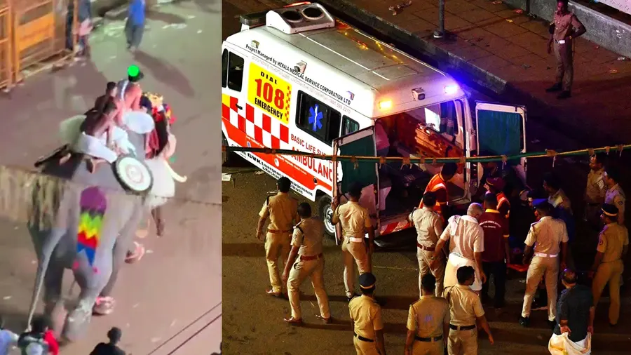 thrissur pooram elephant