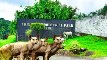 Thrissur Zoological Park