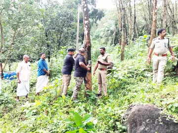 ഉറുകുന്ന് അണ്ടൂർപ്പച്ച ജനവാസ മേഖലയിൽ പുലിയുടെ സാന്നിധ്യം കണ്ട  സ്ഥലത്ത് ഫോറസ്റ്റ് അധികൃതർ കാമറ സ്ഥാപിക്കുന്നു