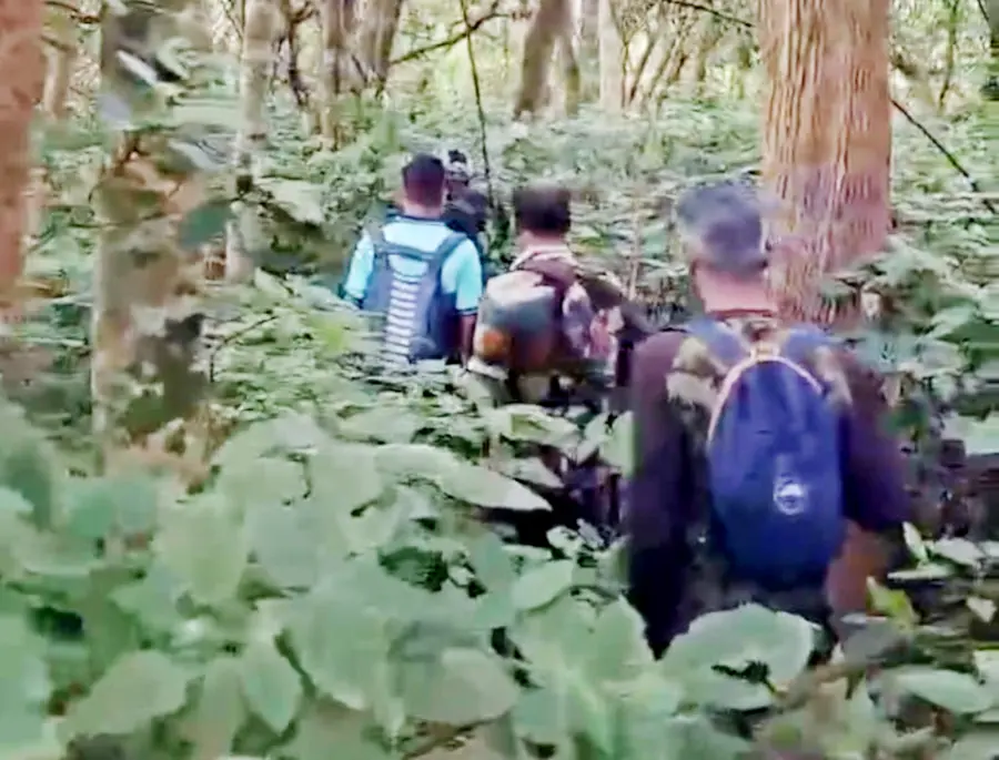 കടുവ സെൻസസ്