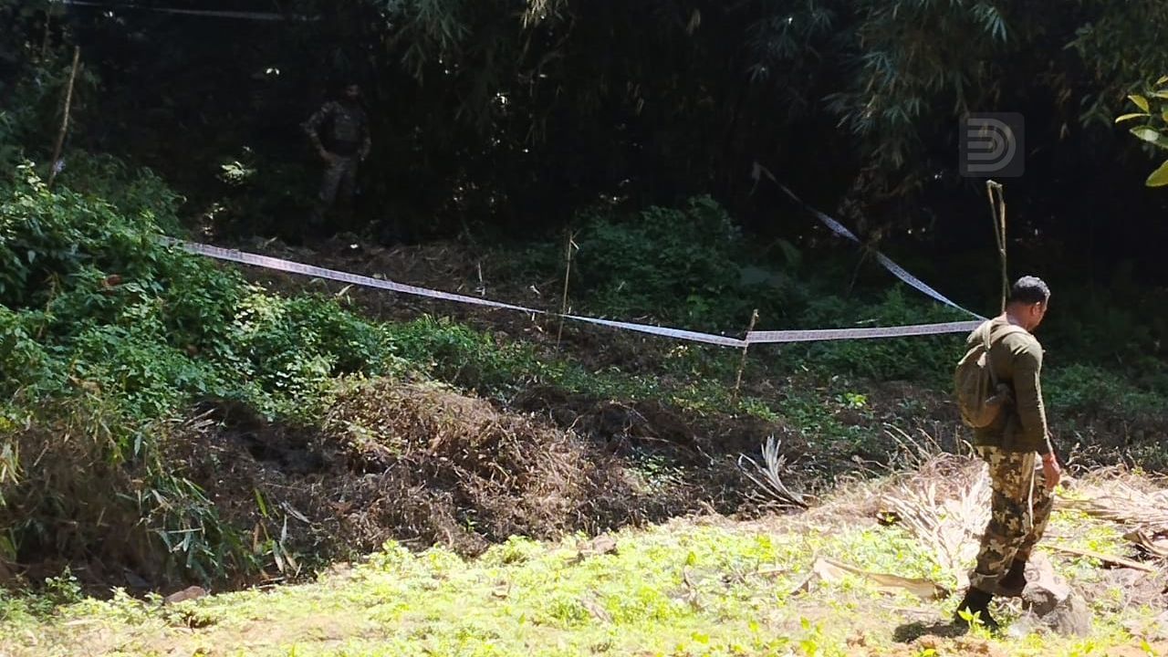 tiger wayanad 3
