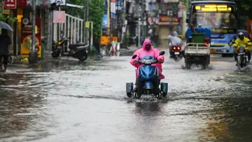 tn rain