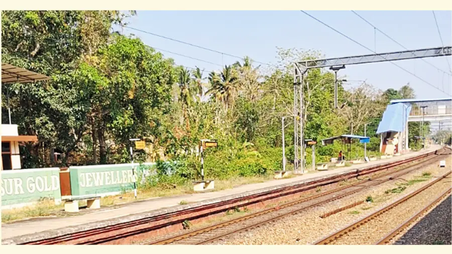 മുരുക്കുംപുഴ റെയിൽവേ സ്റ്റേഷനിൽ പ്ലാറ്റ്ഫോമിന് സമീപം കുറ്റിച്ചെടികൾ
വളർന്നനിലയിൽ 