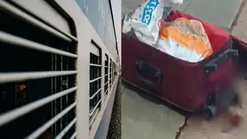 train