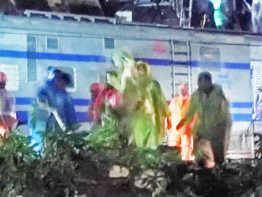 വീടിന്റെ മേൽക്കൂരയും മരവും പാളത്തിൽ പതിച്ചതിനാൽ - ഷൊർണൂർ–-മംഗളൂരു പാതയിൽ ട്രെയിൻ ഗതാഗതം മണിക്കൂറുകളോളം തടസ്സപ്പെട്ടു