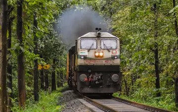 train export