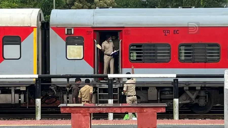 train human fetus.png