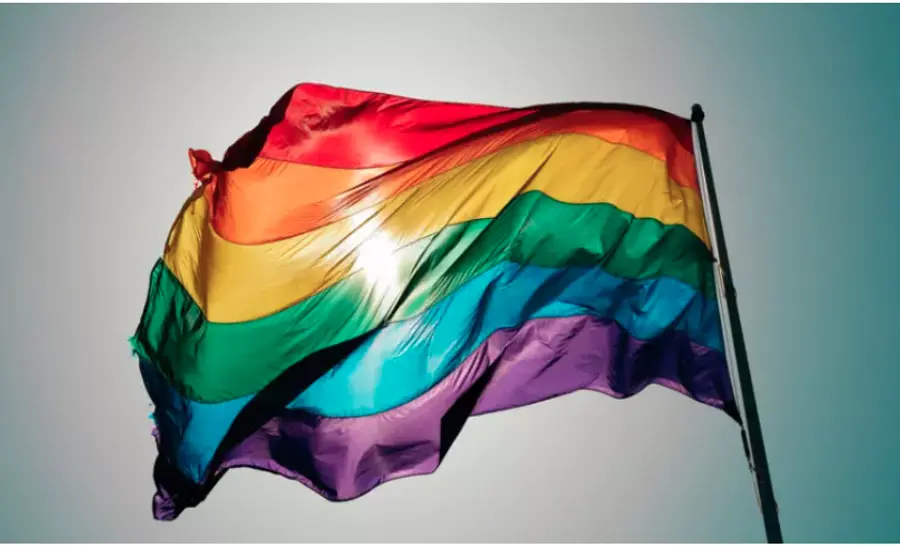 Trans flag