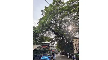 paravoor court road