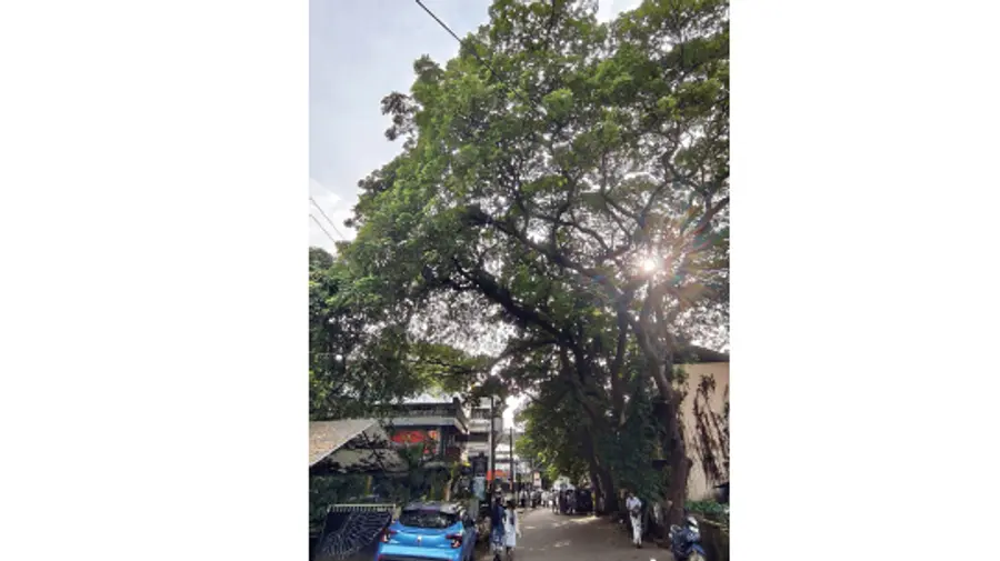 paravoor court road