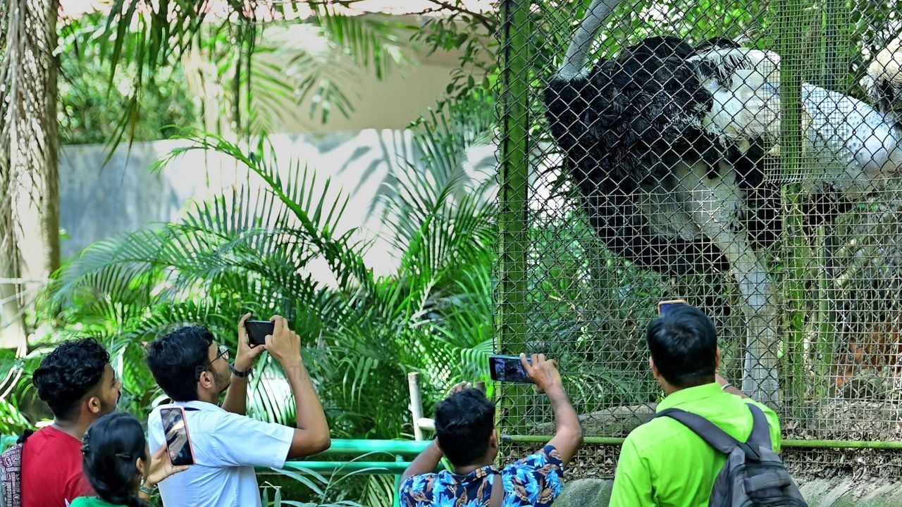 trivandrum zoo arunraj