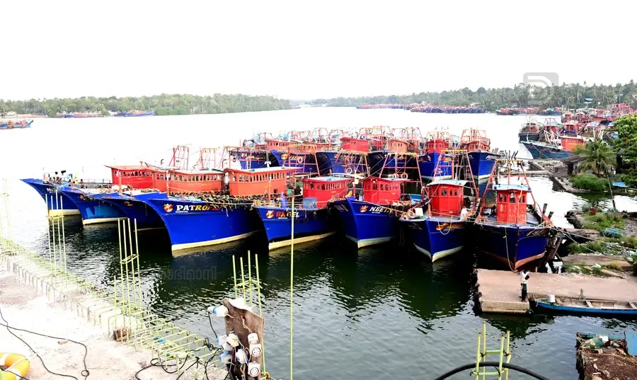 ട്രോളിങ് നിരോധനം ആരംഭിച്ചതോടെ കുരീപ്പുഴ പാലത്തിന് സമീപം അടുപ്പിച്ച ബോട്ടുകൾ