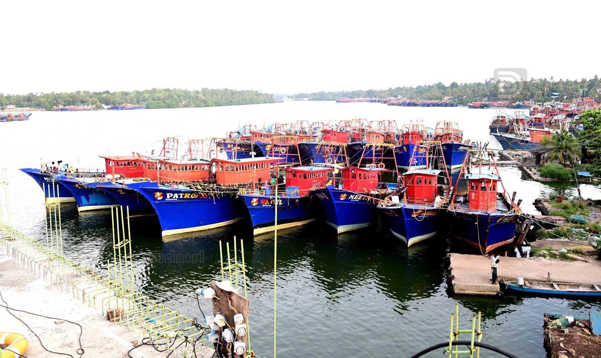 ട്രോളിങ് നിരോധനം ആരംഭിച്ചതോടെ കുരീപ്പുഴ പാലത്തിന് സമീപം അടുപ്പിച്ച ബോട്ടുകൾ