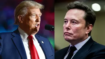 trump musk feud