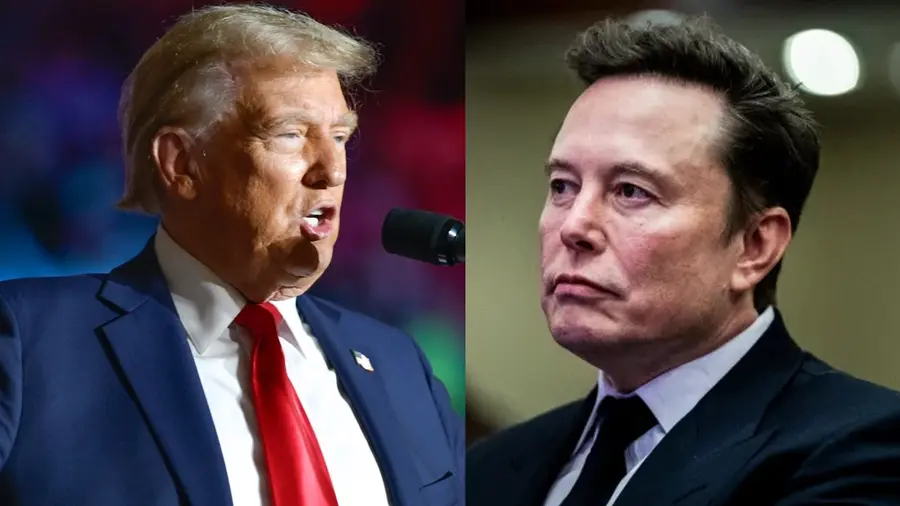 trump musk feud