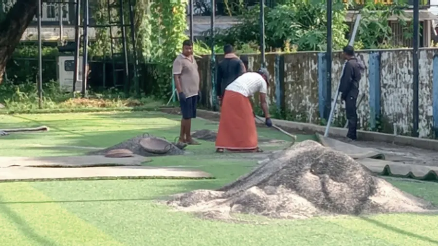 Turf