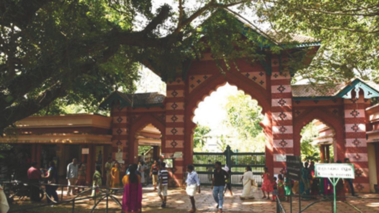 zoo