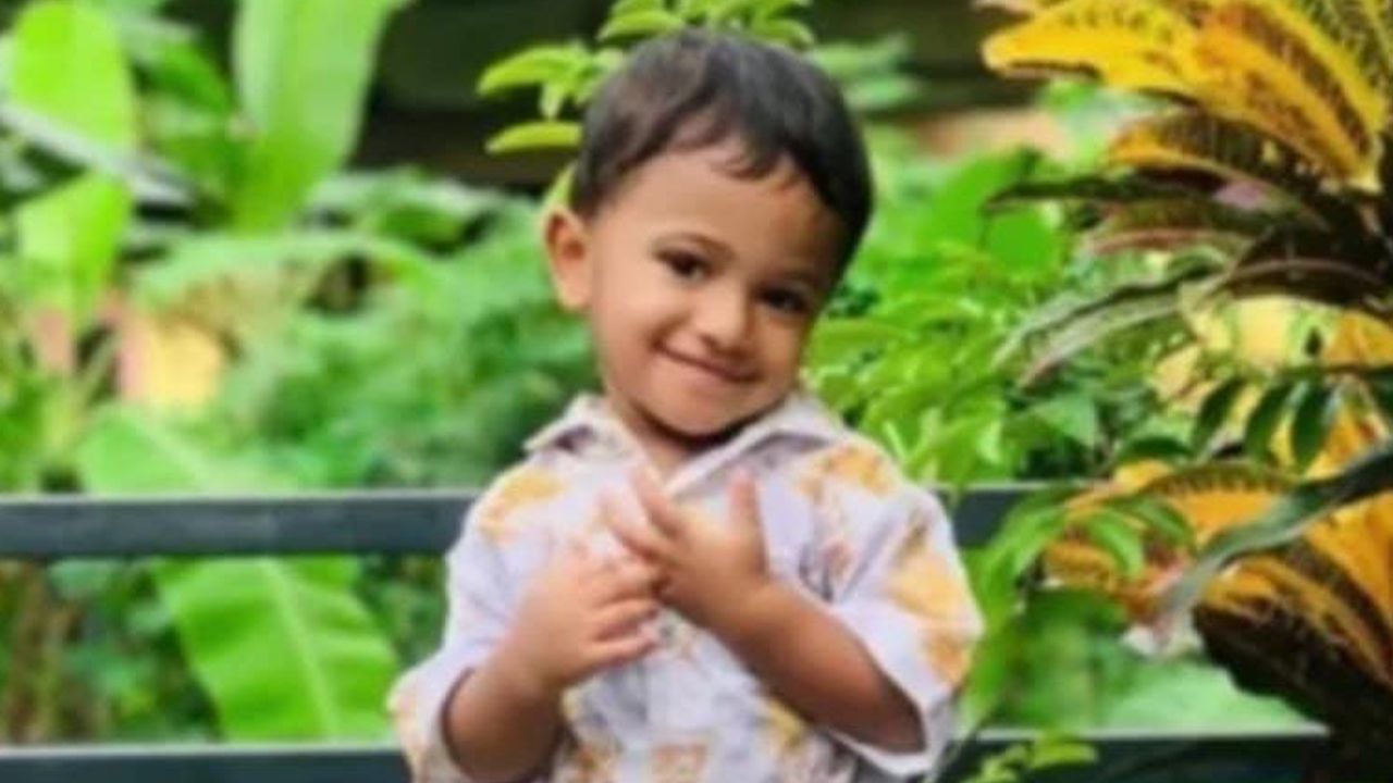 two amd a half year old