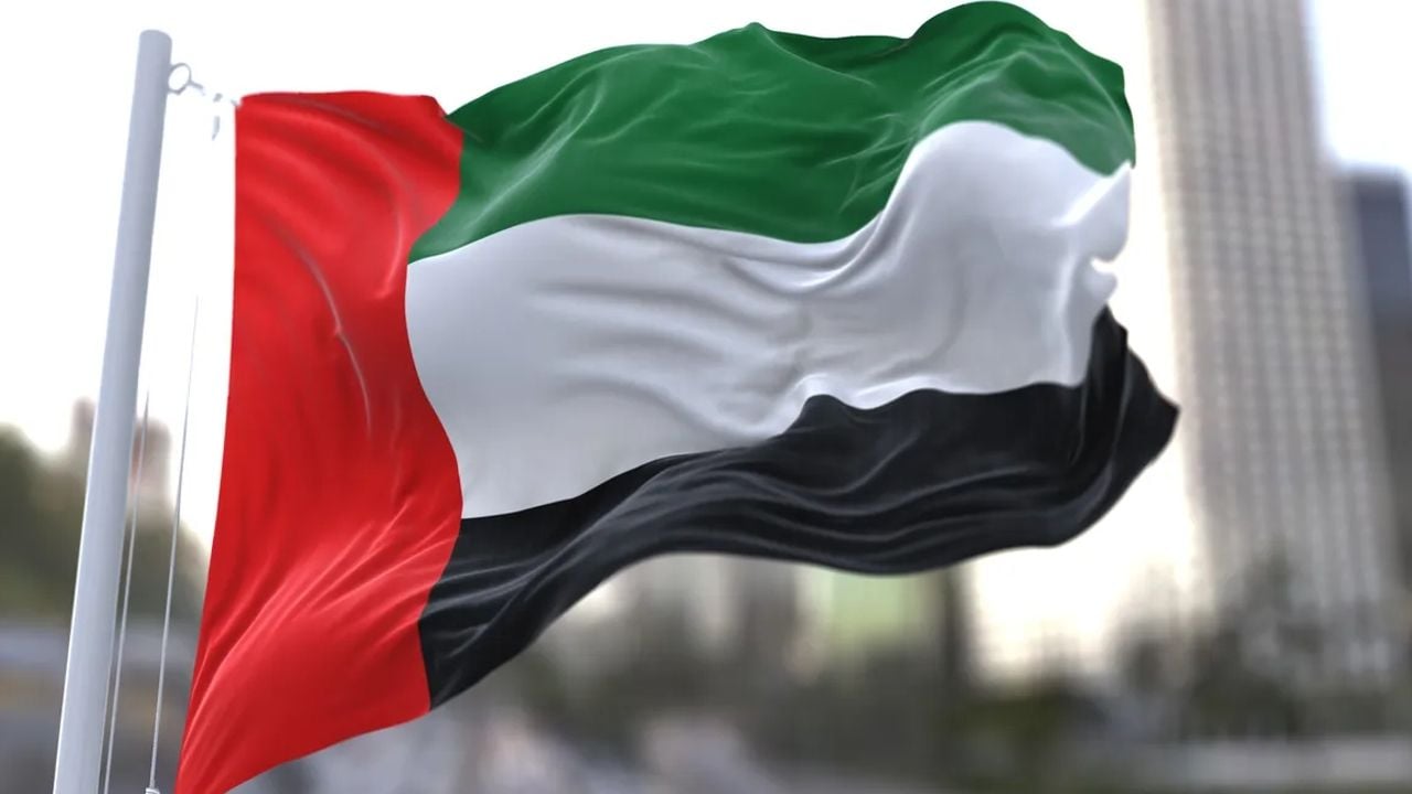 uae flag