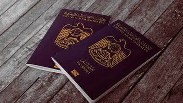 uae passport