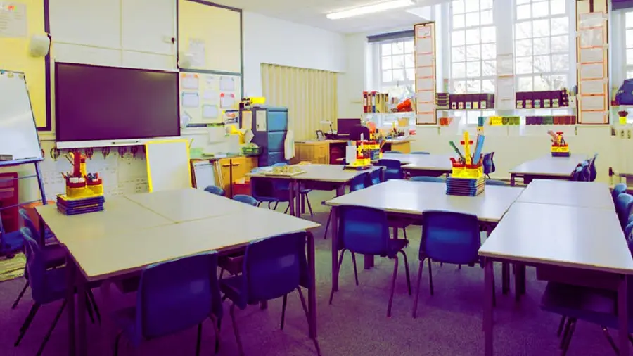 uae school