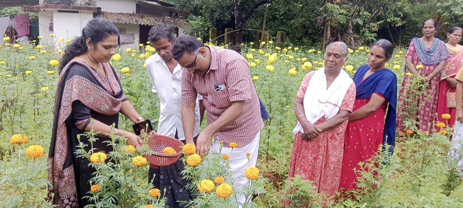 karimanoor  pictures