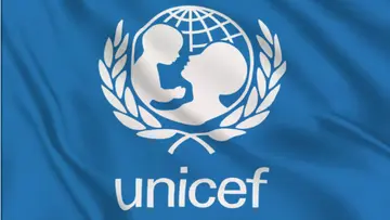 unicef report on india